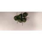 Конденсатор К52-2, ЭТО-2 танталовый (новый), цена за 1 шт