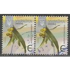 Украина. 8-й стандарт. Облепиха. 2013г. Mi#1233. Пара.