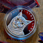 Монета Рысь 20 рублей, серебро Беларусь 2008