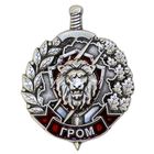 ВВ МВД. Отряд специального назначения "Гром"