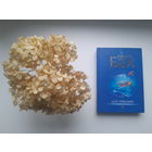 Ричард Бах "Дар крыльев"