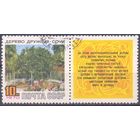 СССР 1970 Сочи дерево Дружбы