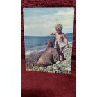 Открытка Укротитель. Худ.Р.Мазелева 1965г