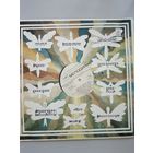 Алексей Кузнецов