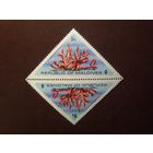 Мальдивы 1975 г.Оленерогий коралл.