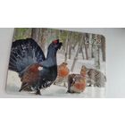 Календарик. Глухари. 2022 год.