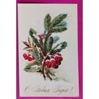 С новым годом! Чистая. 1977 года. Куртенко. 2455.