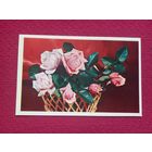 С Днем Рождения! Круцко 1977 г. Чистая. Кр1.