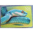 Змея. Календарик, 2025