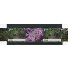 Польша. 200 лет ботанического сада Варшавского университета. Сцепка с купоном