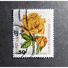 Марка Германия 1982 год Цветы