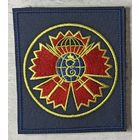 Шеврон 127 бригада разведки