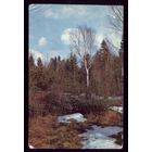 1 календарик Весна в лесу