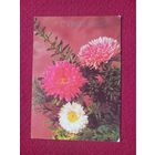 С Праздником! Круцко 1990 г. Чистая. Кр1.