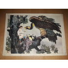 Открытка "Матюша Пепельный". Н. Кочергин. 1956 год. Чистая.