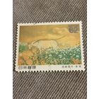 Япония. Лошадь на лугу.