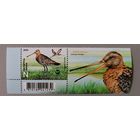 Большой веретенник. Серия из 1 марки с купоном, 2025