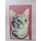 Календарик 1990