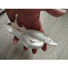 Осетр,с рубля