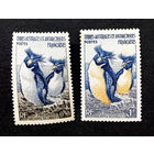 ТААФ Французские территории 1956 г. Пингвины. Антарктическая Фауна,  2 марки. Чистые #0072-Ч1P9