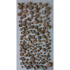 Пломбы цена за все