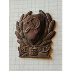 Знак (РКМ РСФСР) 1920 год