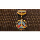 Значок "Совместный полёт СНГ-Германия, Байконур 1992г.".