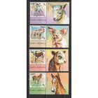 Беларусь 2024г. Фауна. Детёныши животных.