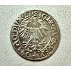 Полугрош 1556 г. Сигизмунд II Август.