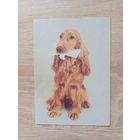 Календарик 1993