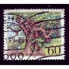 1 марка 1988 год Германия 1356