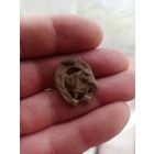 Петлица кавалерии РККА