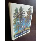 С.Романовский. Синяя молния