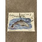 Куба 1980. Дельфины. Tursiops truncatus. Марка из серии