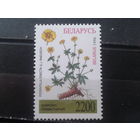 Беларусь, 1996. Дубровка прямостоячая**