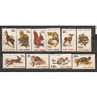 ФФ1 Румыния 1993 Фауна