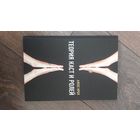 Теория каст и ролей