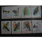 Марки - фауна, Венгрия, птицы