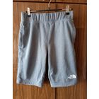 Шорты The North Face