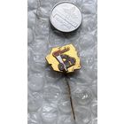 Значок Польша, ОНР, молодежная организация