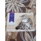 Календарь,реклама,2011