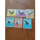 Куба серия марок полная 1981 г. Петухи бойцовые.