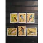 Камбоджа 1996 г. Птицы.