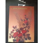 Дергилева С днем рождения