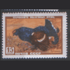 Заг. 1907. 1957. Тетерев. ЧиСт.