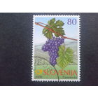 Словения 2000 виноград