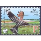 Беларусь 2013 фауна птицы