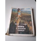 Конь с розовой гривой. /50