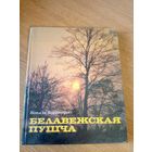 Белавежская пушча // Беловежская пуща\035