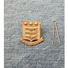 Кокарда ЮАР